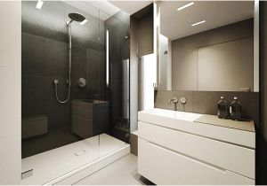 Modern Minimal Bathtubs Modern Minimalist Flat Interior Design
