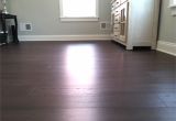 Most Durable Hardwood Floors for Pets there are Many Different Types Of Hardwood Flooring that You Can