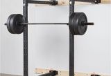 Muscle Motion Power Rack Dip attachment Found My Birthday Present Rogue Rml 3w Fold Back Wall Mount Rack