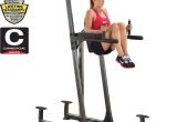 Muscle Motion Power Rack Dip attachment Gold S Gym Xr 10 9 Power tower Home Gym Workout Pull Up Station