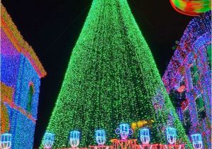 Newport Beach Christmas Lights Cruise Best Christmas Lights West and south Roadtrippers