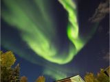 Northern Lights Alaska Cruise 100 Best northern Lights Images On Pinterest northen Lights