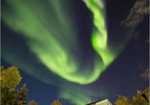Northern Lights Alaska Cruise 100 Best northern Lights Images On Pinterest northen Lights