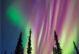 Northern Lights Alaska Cruise Alaska Aurora Borealis Photo tours Greatpics Pinterest