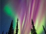 Northern Lights Alaska Cruise Alaska Aurora Borealis Photo tours Greatpics Pinterest