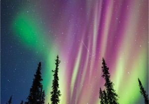 Northern Lights Alaska Cruise Alaska Aurora Borealis Photo tours Greatpics Pinterest
