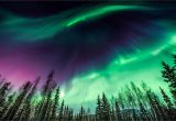 Northern Lights Alaska Cruise Your Guide to Seeing the northern Lights In Alaska Travel