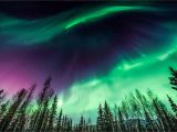 Northern Lights Alaska Cruise Your Guide to Seeing the northern Lights In Alaska Travel