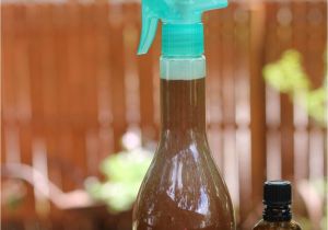 Off Backyard Spray Natural Pest Control Spray for Your Garden Cleaning Pinterest