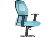 Office Chairs Under 5000 Bluebell Ergonomic Kruz High Back Office Chair Buy Bluebell