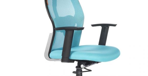 Office Chairs Under 5000 Bluebell Ergonomic Kruz High Back Office Chair Buy Bluebell