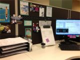 Office Cubicle Decorating Kits Extraordinary Funny Cubicle Decor Photos Best Image Engine