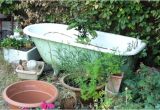 Old Clawfoot Tub Value Value Of An Old Claw Foot Tub
