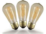 Old Fashioned Light Bulbs Buy 40w St64 Vintage Edison Style Filament Bulbs Novelty Lights Inc