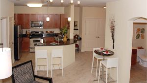 One Bedroom Apartments for Rent In Virginia Beach Va Apartments In Chesapeake with Utilities Included Section Opening