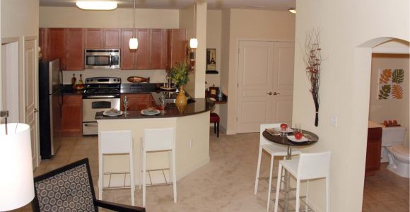 One Bedroom Apartments for Rent In Virginia Beach Va Apartments In Chesapeake with Utilities Included Section Opening