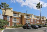 One Bedroom Apartments Tampa Fl Near Usf Park Avenue Apartments Rentals Tampa Fl Apartments Com