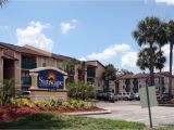 One Bedroom Apartments Tampa Fl Near Usf Sunscape Apartments Rentals Tampa Fl Apartments Com
