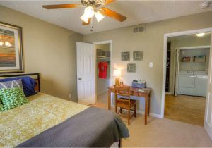 One Bedroom Student Apartments Tampa Fl Raiders Walk Apartments Off Campus Student Housing In Lubbock