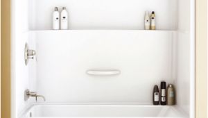 One Piece Bathtub and Surround Download Bathroom top E Piece Shower with Bathtub with