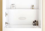 One Piece Bathtub Surround Modern Bathtub Shower Modern Bathroom Double Shower