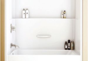 One Piece Bathtub Surround Modern Bathtub Shower Modern Bathroom Double Shower