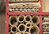 Orchard Mason Bee House Plans Bee Houses A Backyard Habitat Pinterest Bee House Bees and House