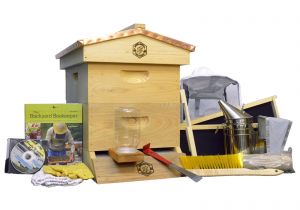 Orchard Mason Bee House Plans Beekeeping Supplies