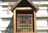 Orchard Mason Bee House Plans Inspiring Bee House Plans Free Images Best Image Dicocco Us