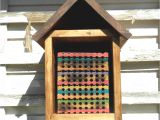 Orchard Mason Bee House Plans Inspiring Bee House Plans Free Images Best Image Dicocco Us