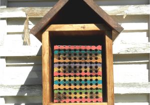 Orchard Mason Bee House Plans Inspiring Bee House Plans Free Images Best Image Dicocco Us