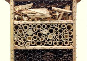 Orchard Mason Bee House Plans solitary Bee House Plans Fresh Mason Bee House Plans the 49 Petite