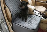 Orvis Interior Car Door Protectors Dog Car Door Protector Images Doors Design Modern