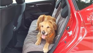 Orvis Interior Car Door Protectors Got Pets these Products Make Travel Easier News Cars Com