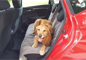 Orvis Interior Car Door Protectors Got Pets these Products Make Travel Easier News Cars Com