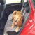 Orvis Interior Car Door Protectors Got Pets these Products Make Travel Easier News Cars Com