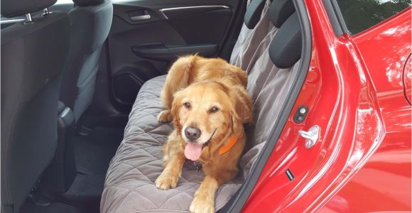 Orvis Interior Car Door Protectors Got Pets these Products Make Travel Easier News Cars Com