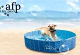 Outdoor Bathtub for Dogs Amazon All for Paws Outdoor Bathing Dog Pool