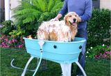 Outdoor Bathtub for Dogs Best 25 Dog Bath Tub Ideas On Pinterest
