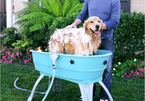 Outdoor Bathtub for Dogs Best 25 Dog Bath Tub Ideas On Pinterest