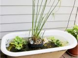 Outdoor Bathtub Ideas Diy How to Make A Bathtub Fish Pond