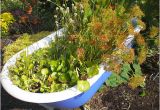 Outdoor Bathtub Planter 20 Great Ideas for Creative Gardening Using Containers You