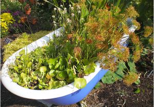 Outdoor Bathtub Planter 20 Great Ideas for Creative Gardening Using Containers You