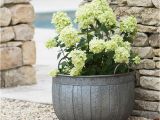 Outdoor Bathtub Planter Galvanised Wash Tub Planters — the Worm that Turned