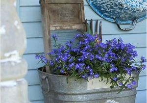 Outdoor Bathtub Planter Wash Tub Planter