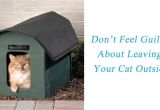 Outdoor Cat House Plans Winter Outdoor Shelter Plans Cat House Plans Outside Inspirational 85 Best