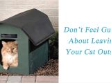 Outdoor Cat House Plans Winter Outdoor Shelter Plans Cat House Plans Outside Inspirational 85 Best