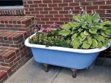 Outdoor Clawfoot Tub Dr Dan S Garden Tips Using the Unusual