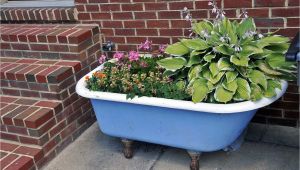 Outdoor Clawfoot Tub Dr Dan S Garden Tips Using the Unusual