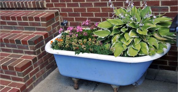Outdoor Clawfoot Tub Dr Dan S Garden Tips Using the Unusual